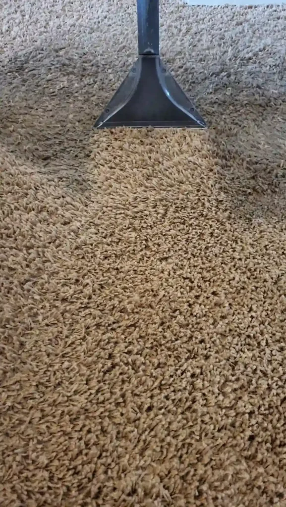 Czyszczenie wykładziny dywanowej | Pralnia Dywanów PERS Kraków